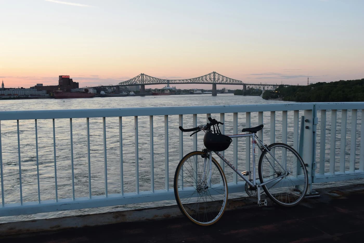 Cycliste sur une piste cyclable de Montréal